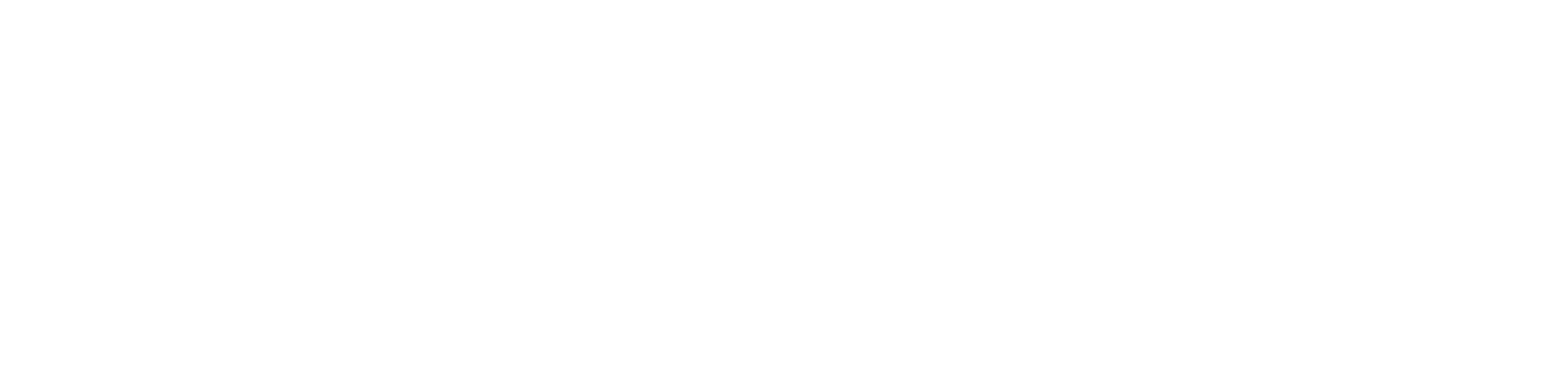 De Vincenti Consulting SRLS